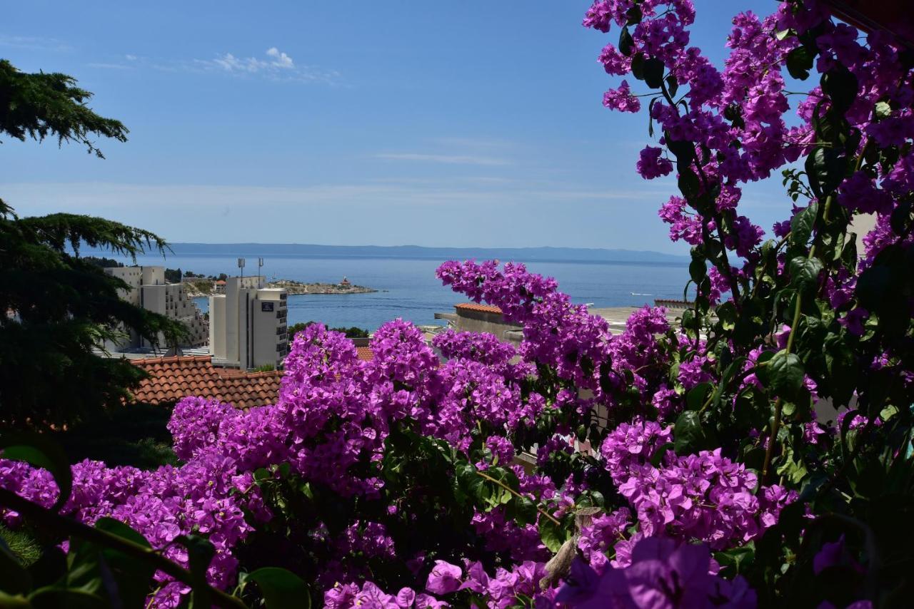 Apartments Dobrinic Makarska Exterior photo